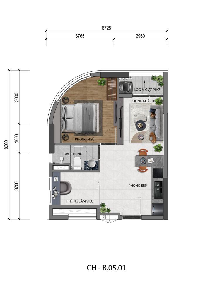 thiet ke The Classia